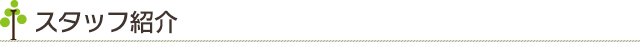 スタッフ紹介