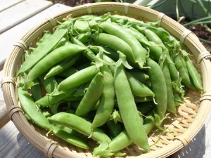 sunappu